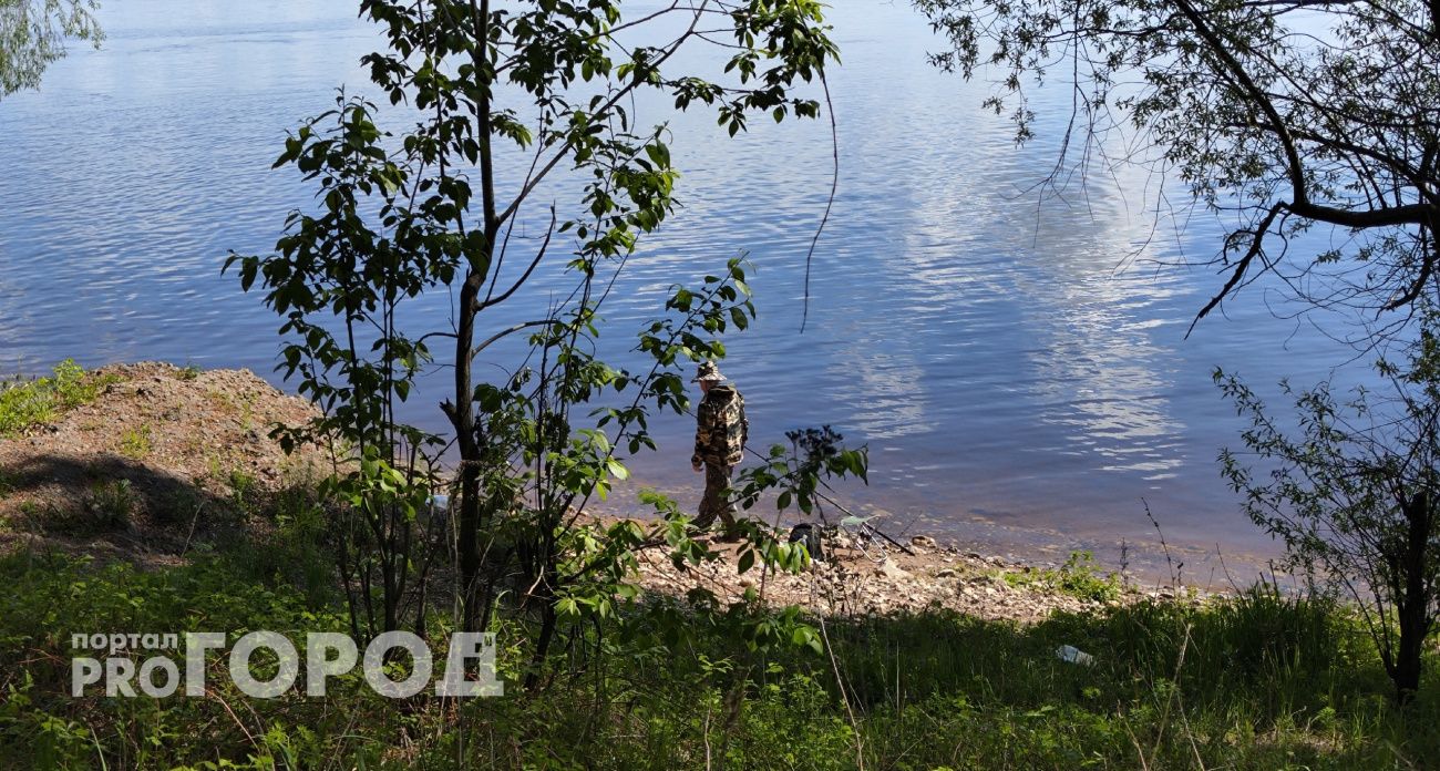 В Чувашии сотрудник союза рыболовов незаконно продавал разрешения на вылов рыбы