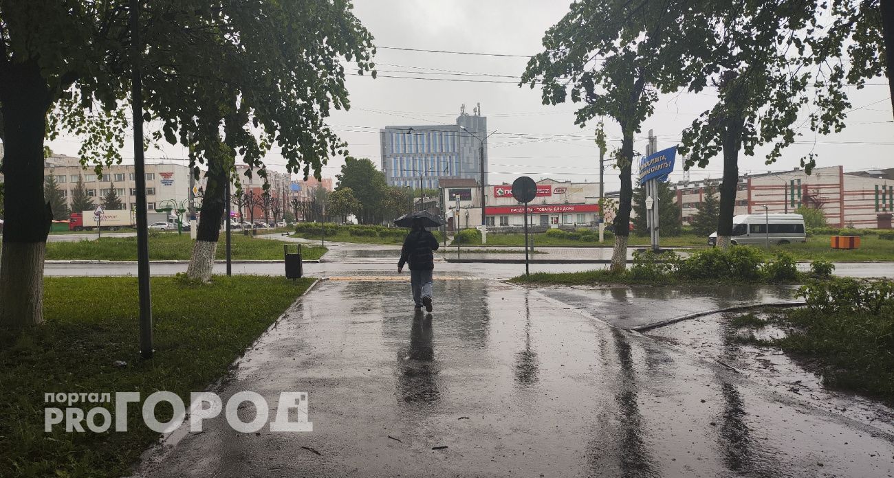 Еще один пасмурный день с дождем ждет Чувашию