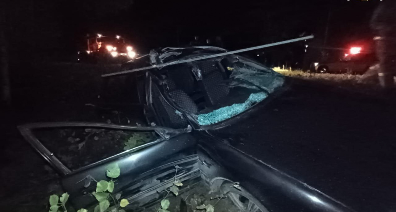 В Чувашии Audi сбил лося: пострадала пассажирка иномарки