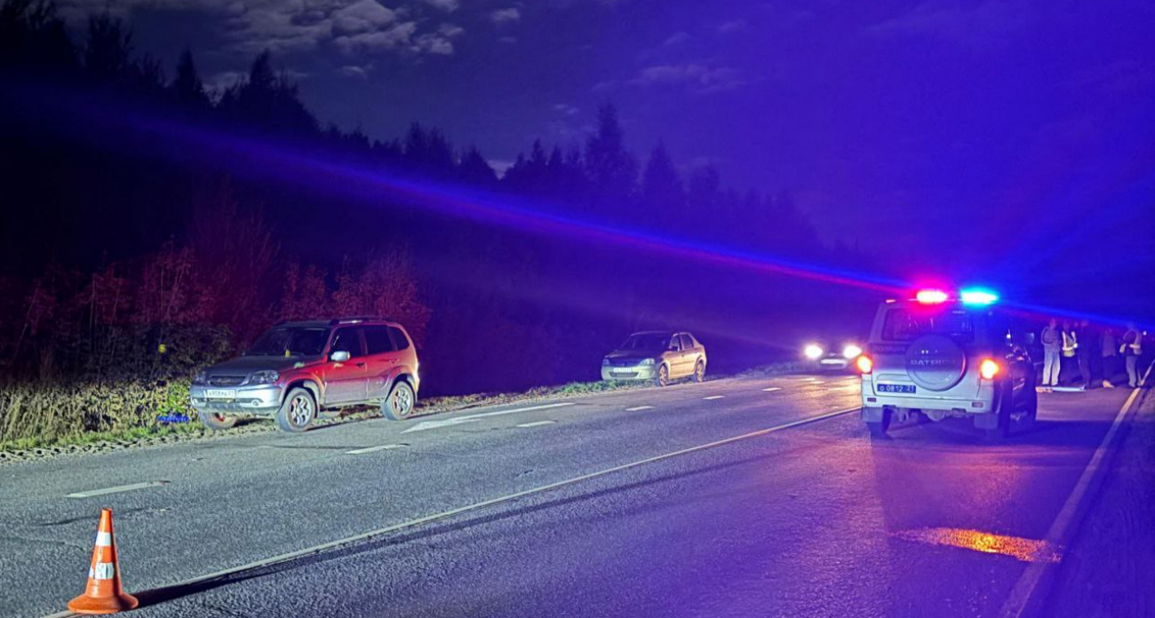 В Чебоксарском районе водитель принял лежащего на дороге мужчину за "лежачего полицейского" и задавил его