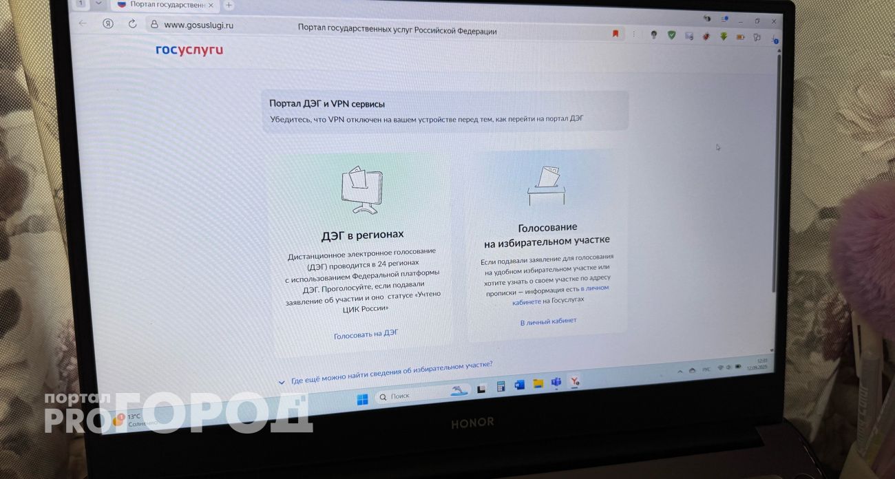 Минцифры Чувашии уверяет: ограничение мобильного интернета не помешает электронному голосованию