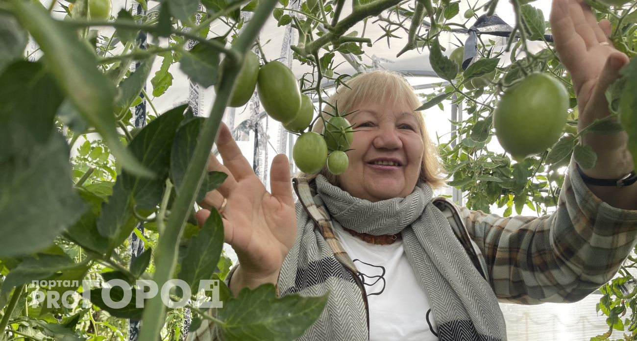 Эксперт по томатам из Чувашии рассказала, как заготовить их, чтобы хватило до следующего урожая: "Помидоры в магазине никогда не покупаю!"