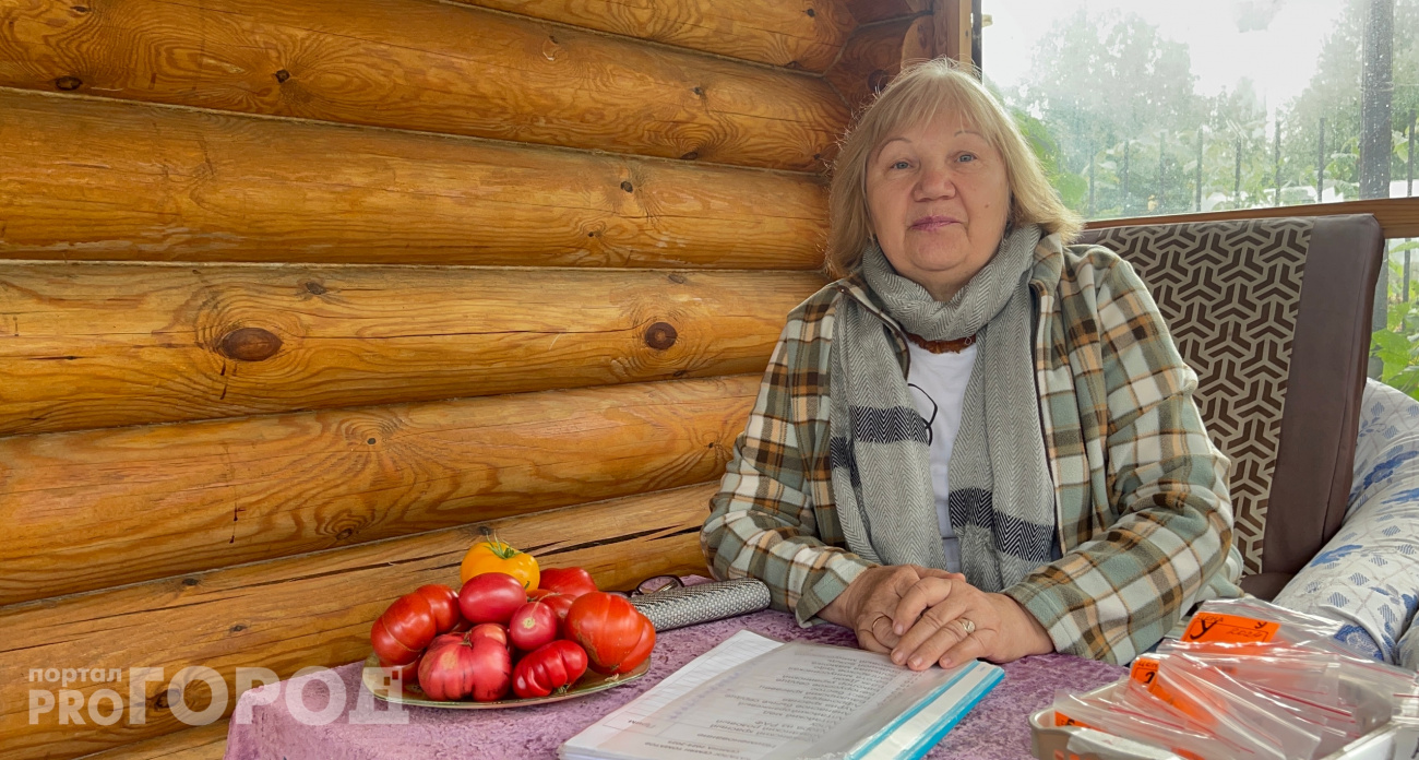 Опытная огородница из Чувашии рассказала о том, как сохранить томаты свежими до следующего сезона: "Помидоры в магазине никогда не покупаю!"