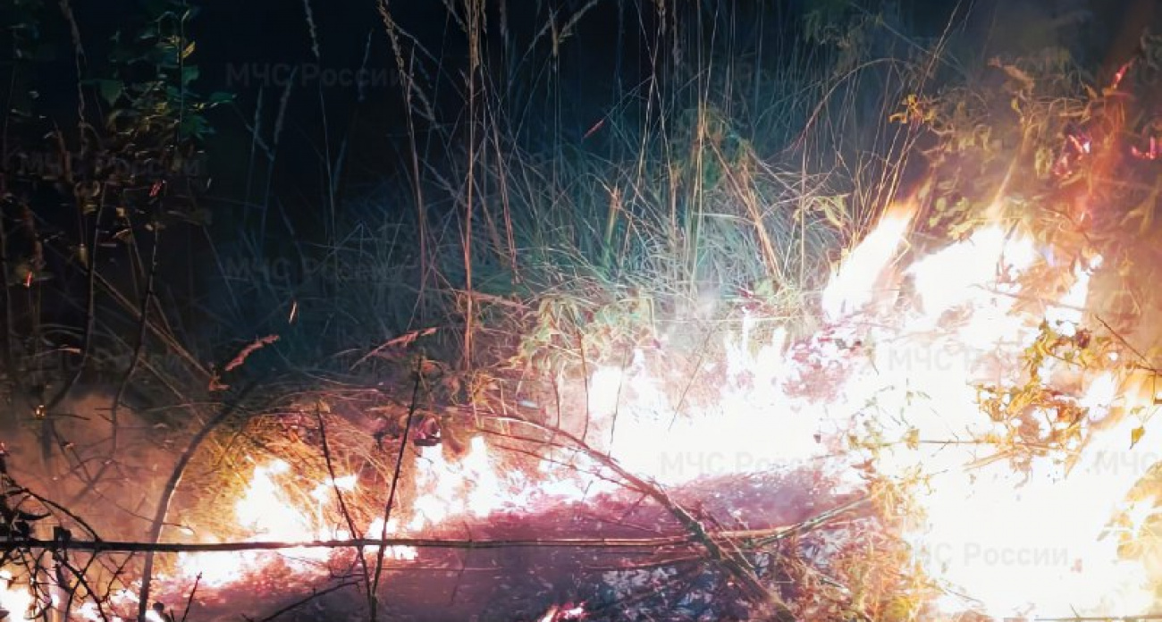 Возле двух сел Чувашии вспыхнуло сухое поле и трава у железной дороги