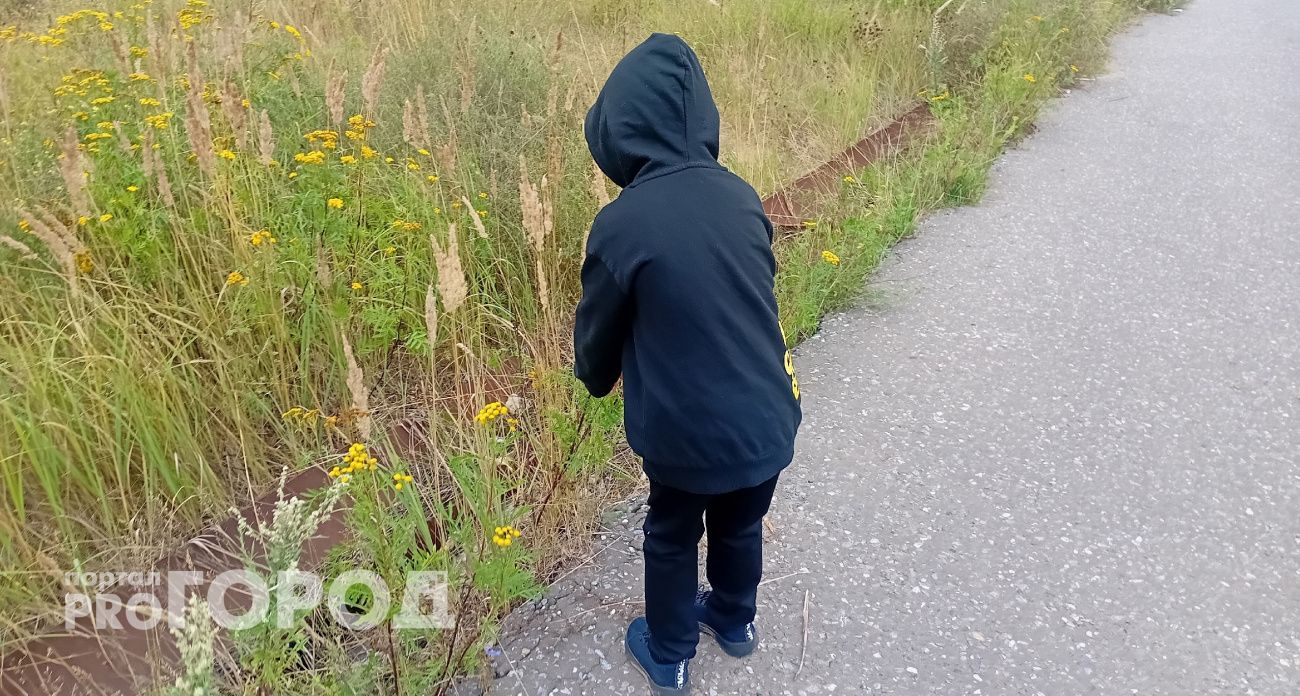 В Чувашии восьмилетний мальчик обиделся на родителей и убежал в лес