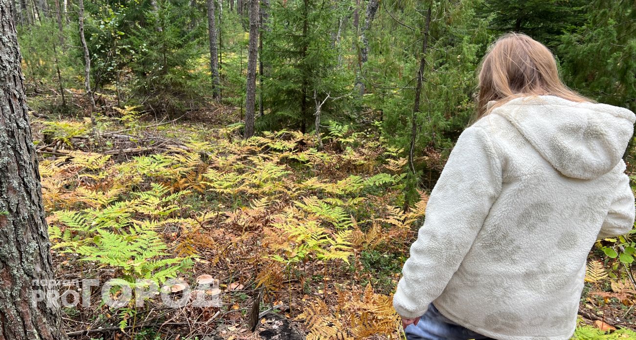 МЧС Чувашии выпустило предупреждение на пять дней