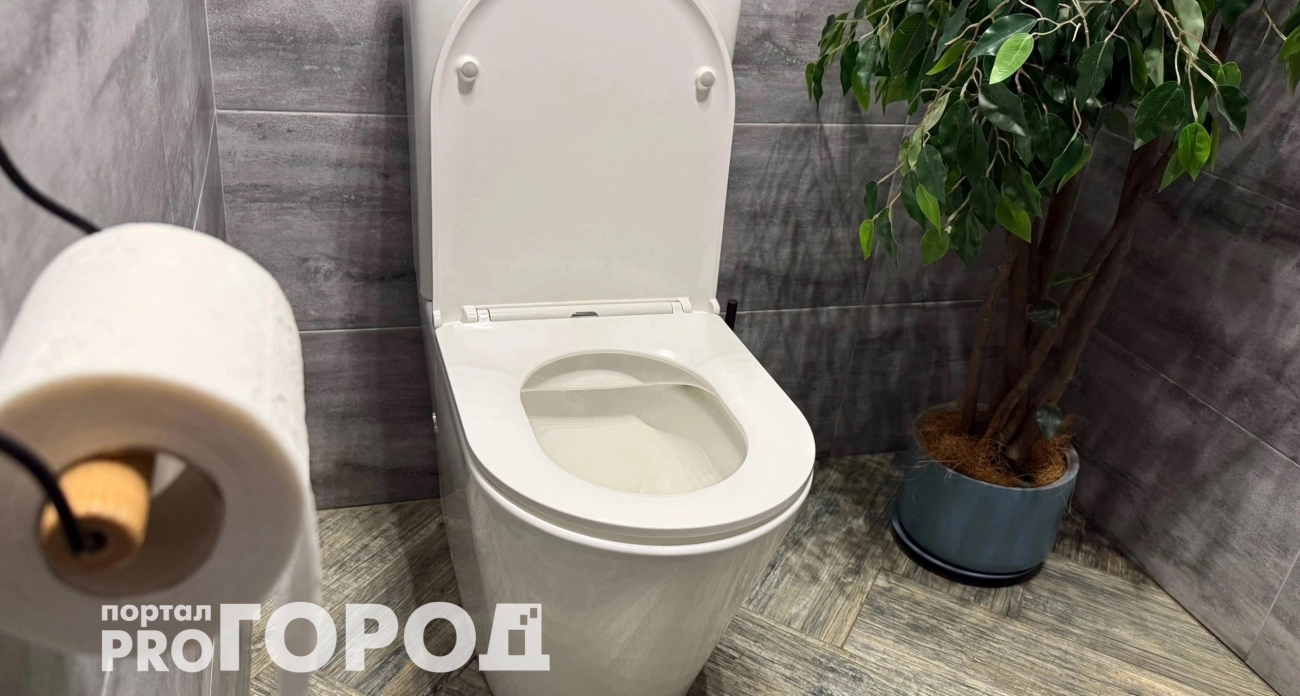 Просто засыпьте ложку и ложитесь спать: на утро унитаз белее снега