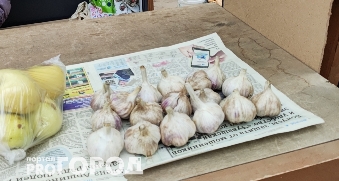 Сажаю чеснок по осени правильно: на следующий год головки вырастают с кулак 