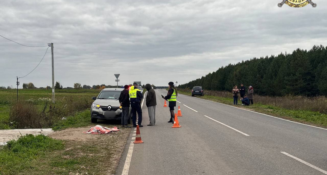 В Аликовском районе машина насмерть сбила женщину