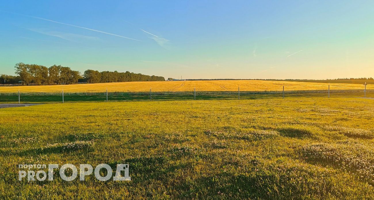 В Чувашии фермера оштрафовали за полеты квадрокоптера в поле