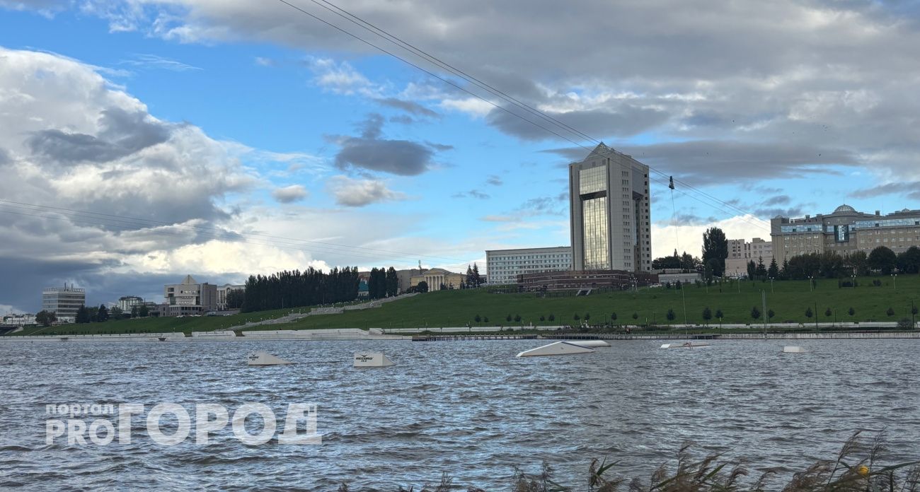 Николаев распустил правительство Чувашии