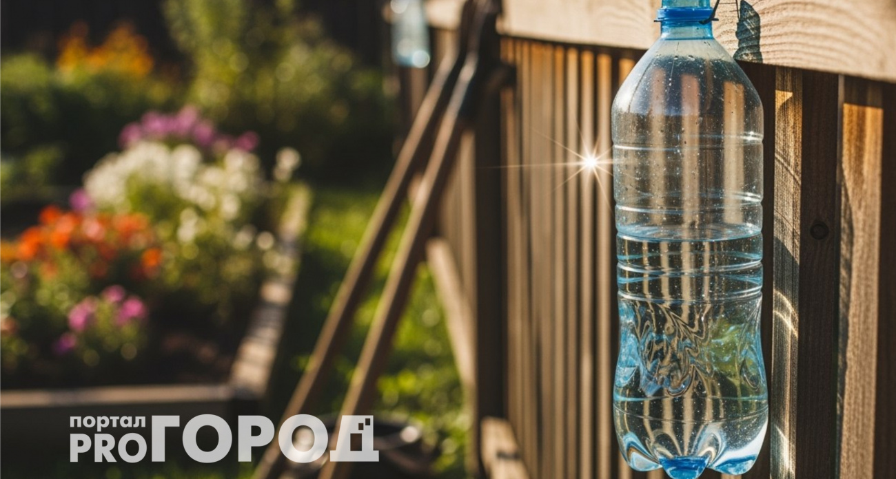 Подвесила пластиковую бутылку с водой к забору: это помогло решить одну деликатную проблему