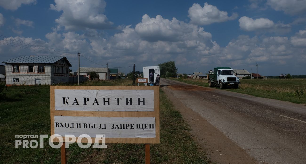 Три самые опасные болезни: в Чувашии для борьбы с бешенством регулируют число диких животных