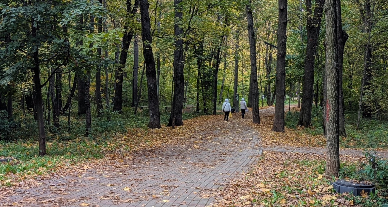 Первого октября в Чувашии потеплеет до +15