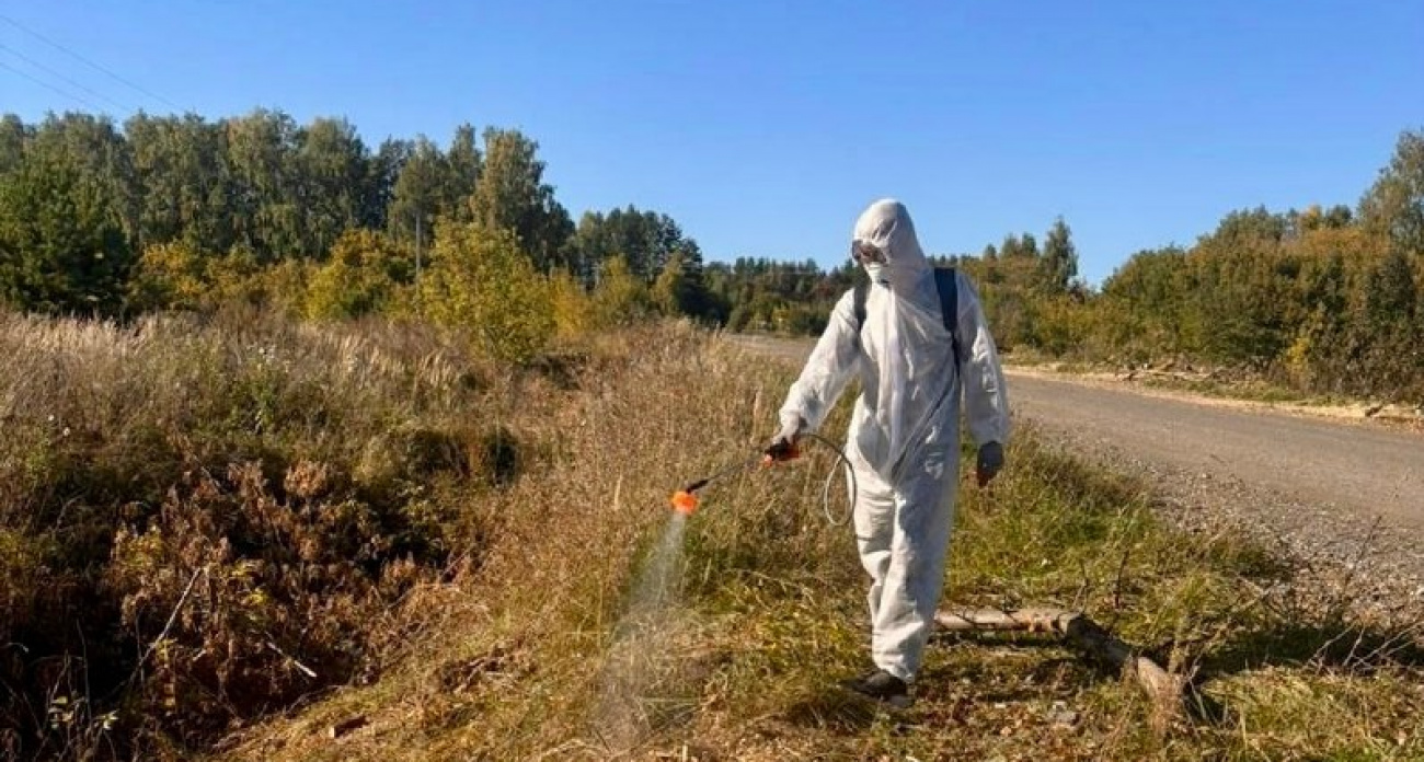 В Чувашии вытравляют гербицидами деревья и кустарники вдоль 326 километров дорог