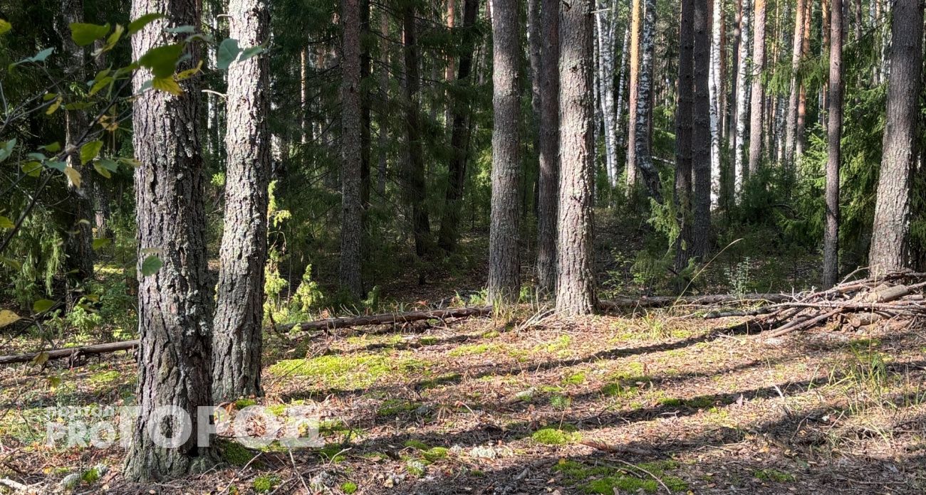 МЧС Чувашии выпустило предупреждение на пять дней