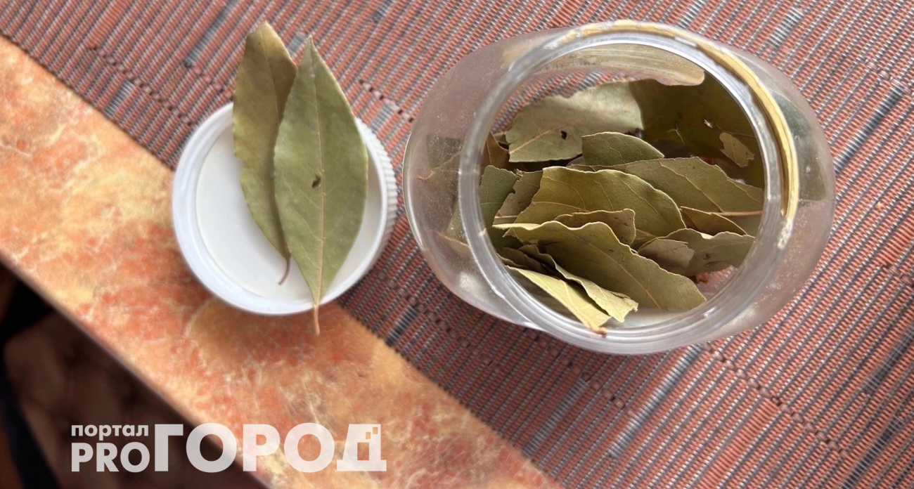 Кладу лавровый лист в спальню и сплю как убитая: эффект для организма видно уже утром