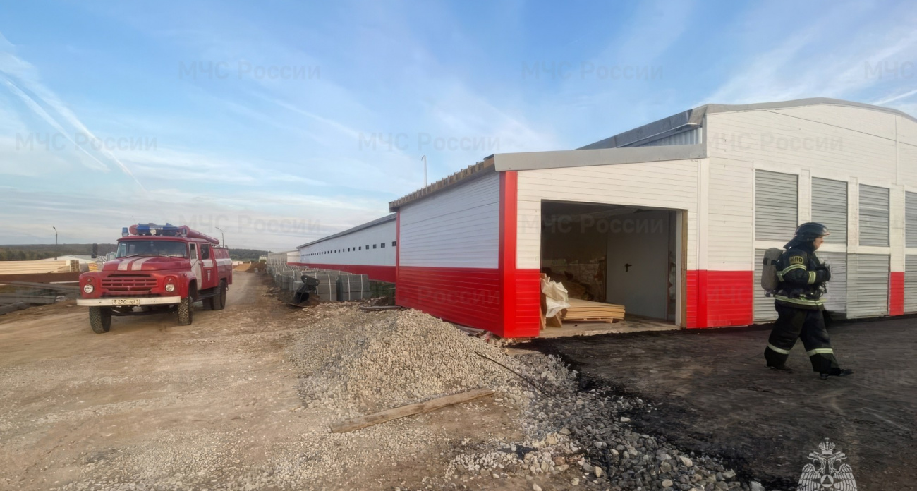 Более 400 цыплят погибли в пожаре на птицефабрике в Чувашии