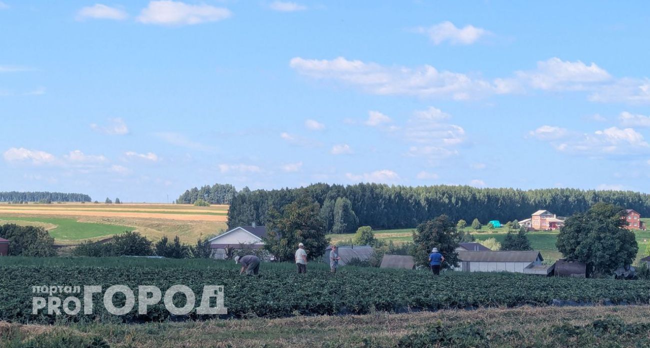 Фермеры Чувашии получат почти 128 миллионов рублей по выигранным грантам