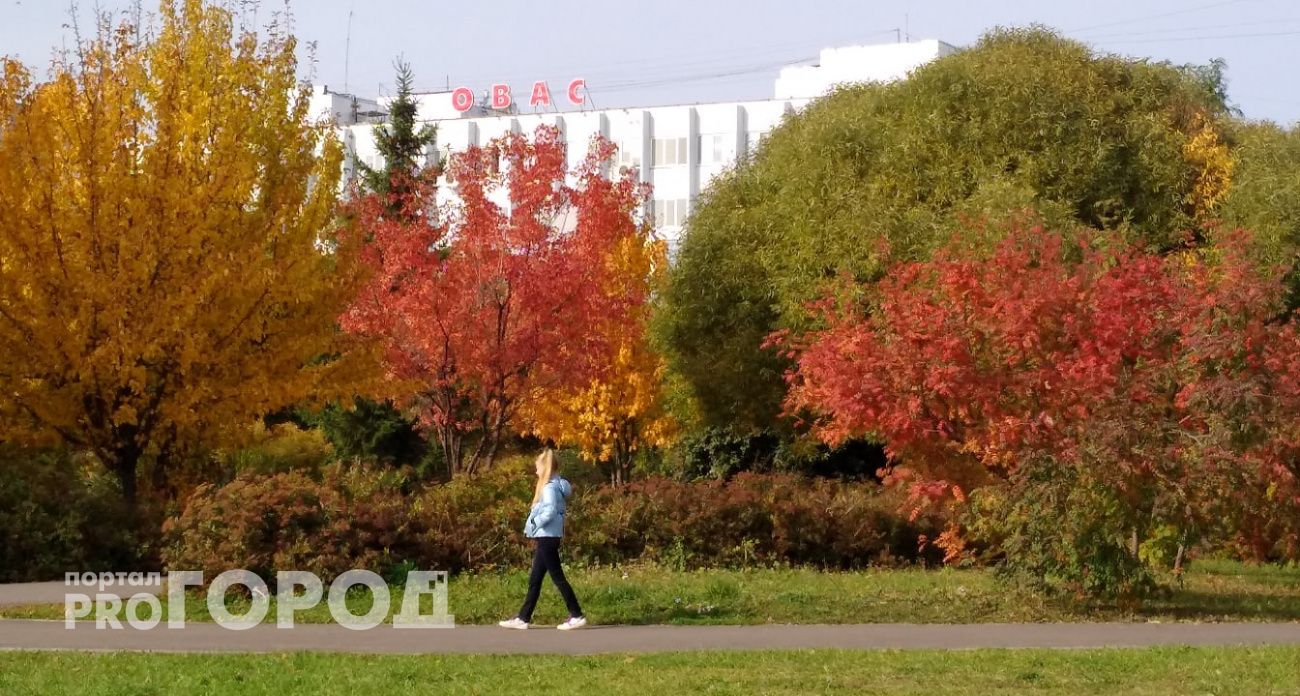 Сухая и теплая среда порадует жителей Чувашии в середине недели