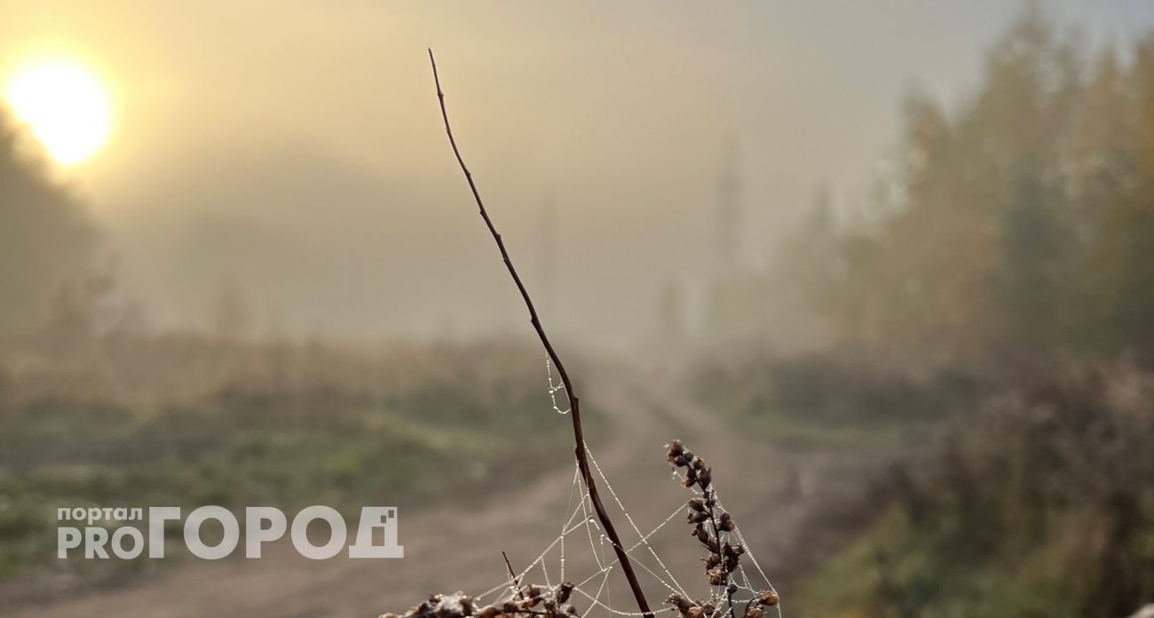 В Чувашии снова сгустятся туманы, днем воздух прогреется до +16