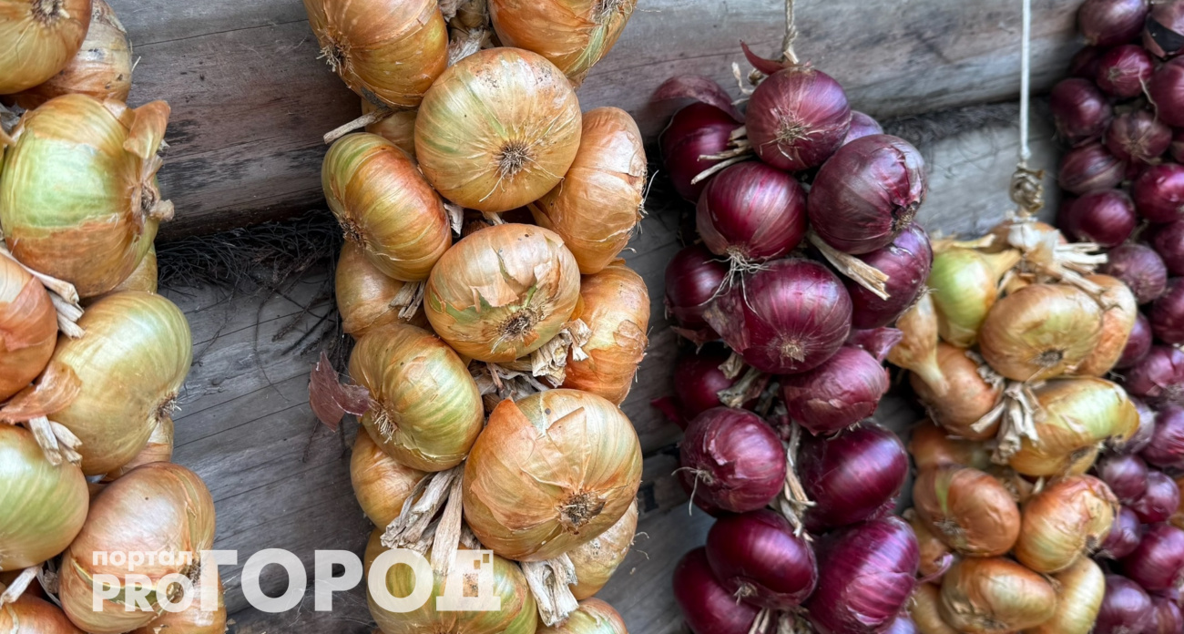 Храню лук без гнили вплоть до лета - урожай больше не превращается в месиво