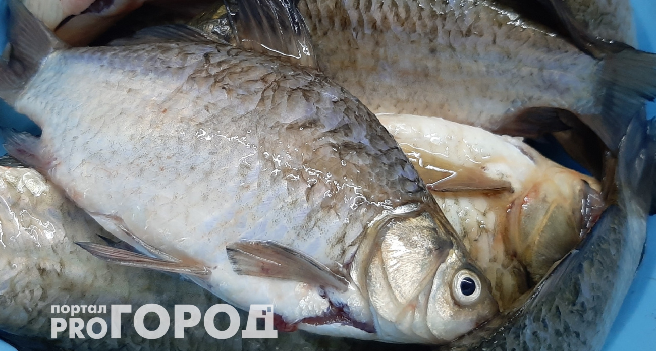 Лимон не поможет: как удаляю рыбный запах с рук за 5 секунд – проверенный рыбацкий способ