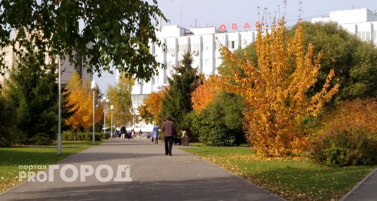 Ждать ли дождь в воскресный день жителям Чувашии