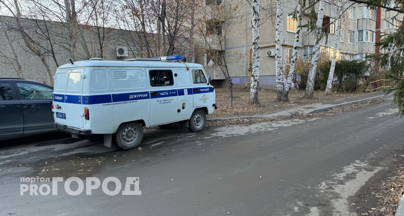 В Чебоксарах мать и дочь лишились многолетних накоплений из-за фейкового оператора