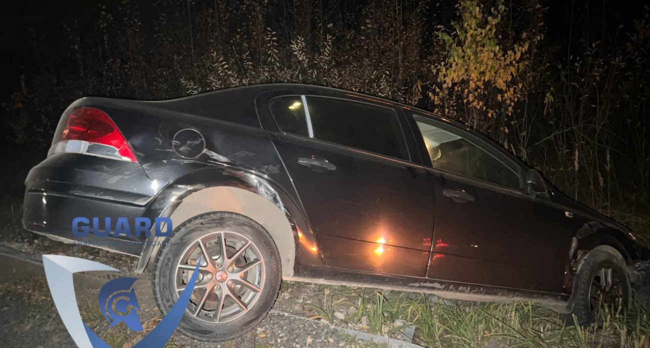 По дороге в Чебоксары водитель "Опеля" устроил ДТП и попытался скрыться в лесу 