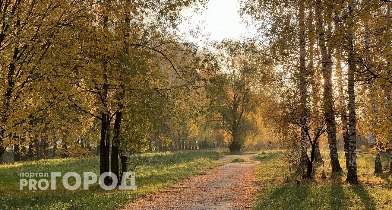 Чувашию ждет прохладная пятница: днем до +8 градусов, но ночью минус