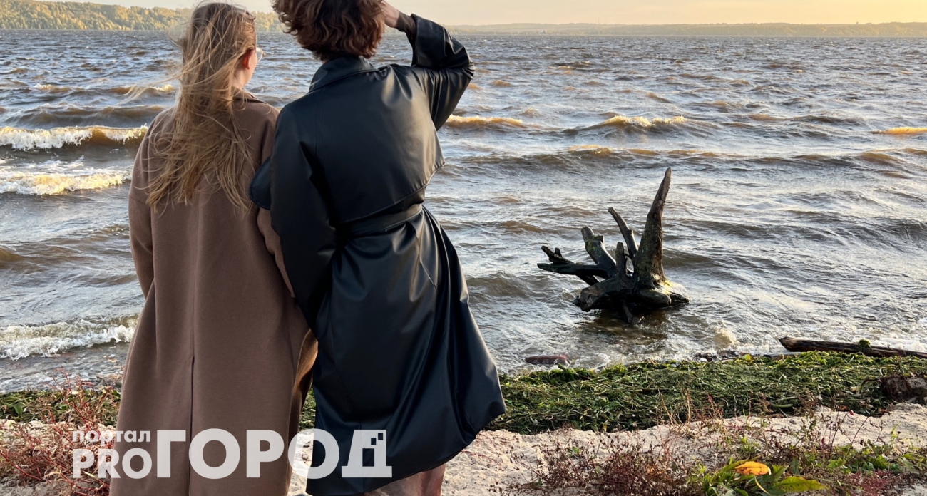 Тельцы получат финансы из неожиданных источников, а Львы проявят себя