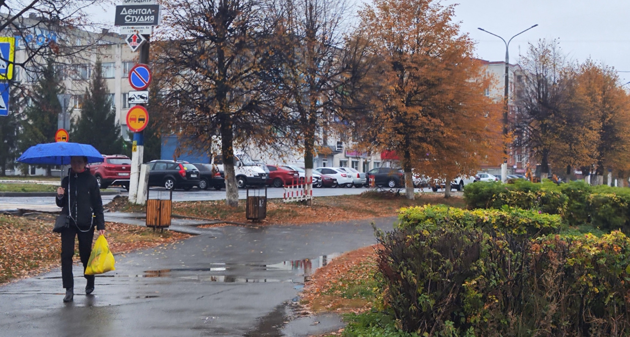 В Чувашии началась дождливая пора: в среду ничего не изменится