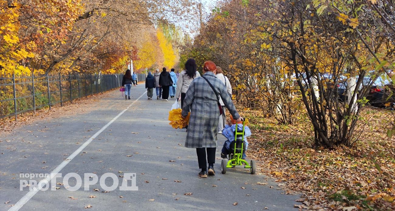 В Чувашии молодым семьям дадут 300 тысяч за третьего ребенка