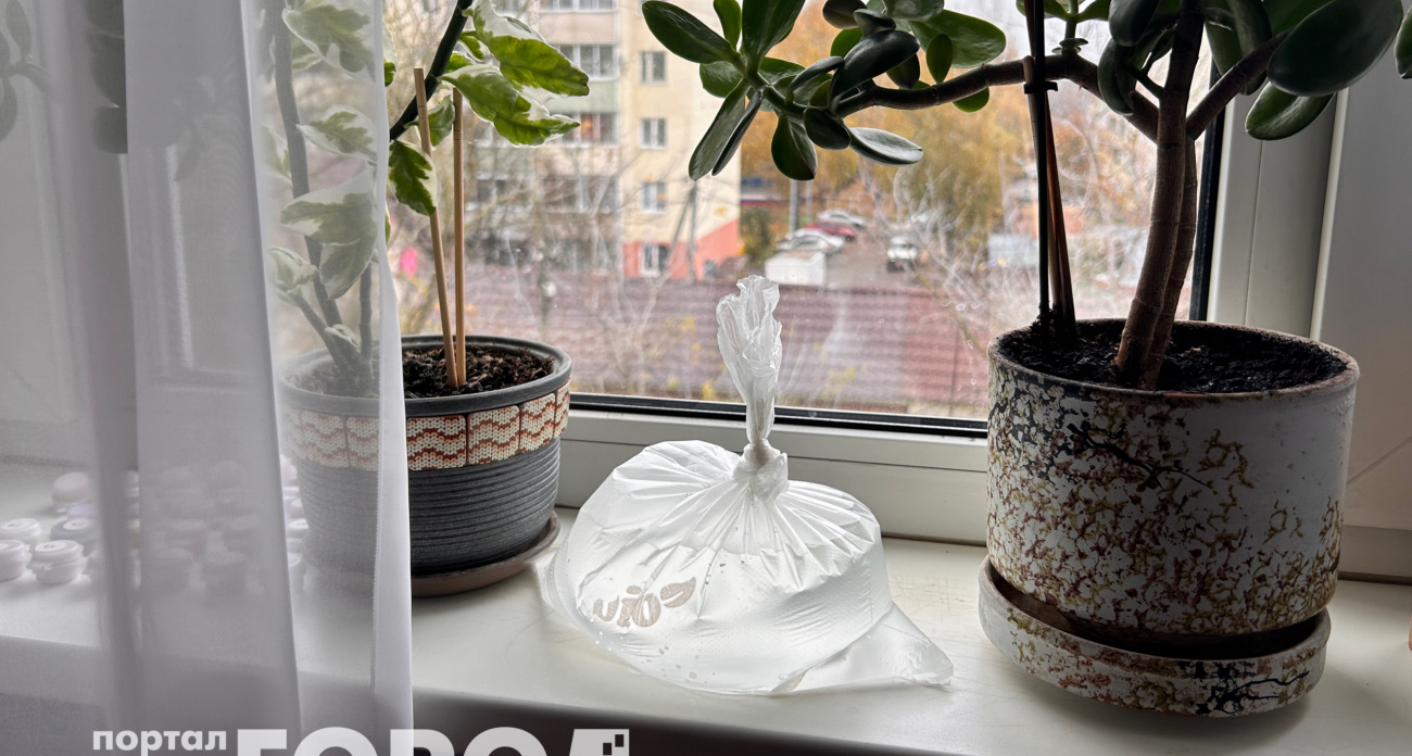 Всегда держу на подоконнике пакет с водой: сосед смеялся, но сделал так же – забыли про надоедливую проблему