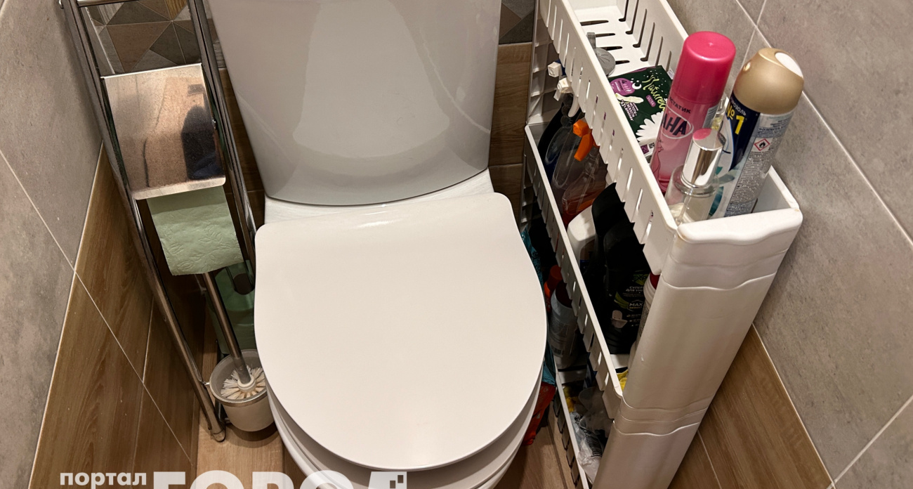 После одного случая всегда опускаю крышку унитаза и вам советую: почему нельзя оставлять открытым 