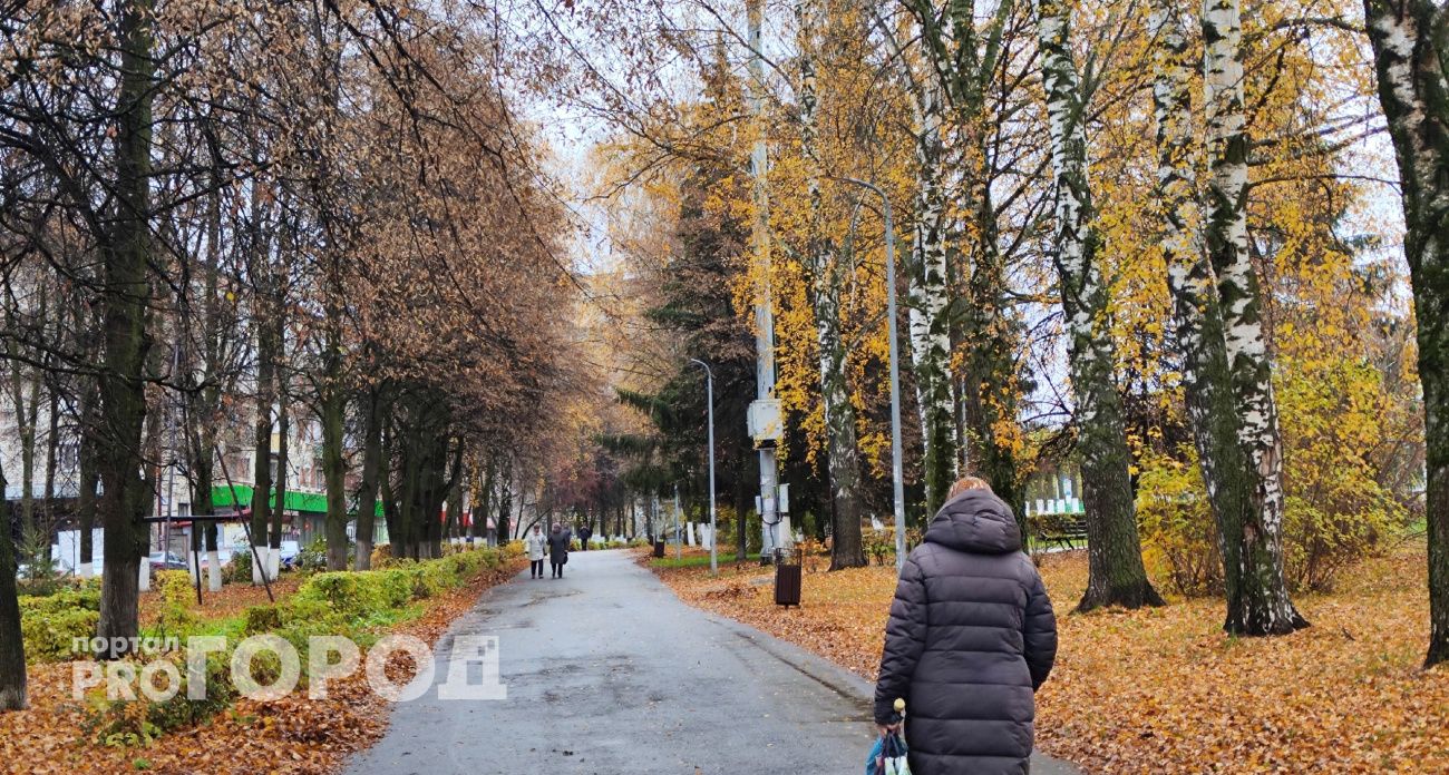Воскресный день встретит жителей Чувашии пасмурной и ветреной погодой