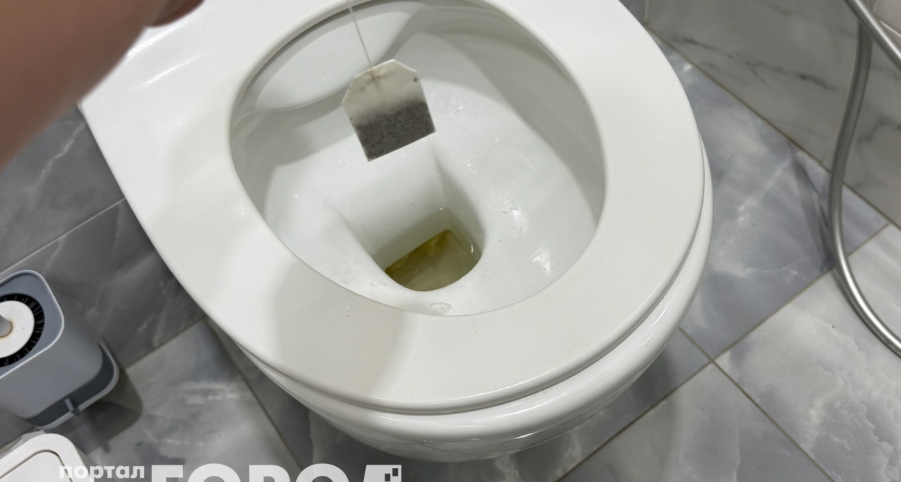 Уходя из дома, бросаю чайный пакетик в унитаз: чудо-совет от опытной знакомой горничной