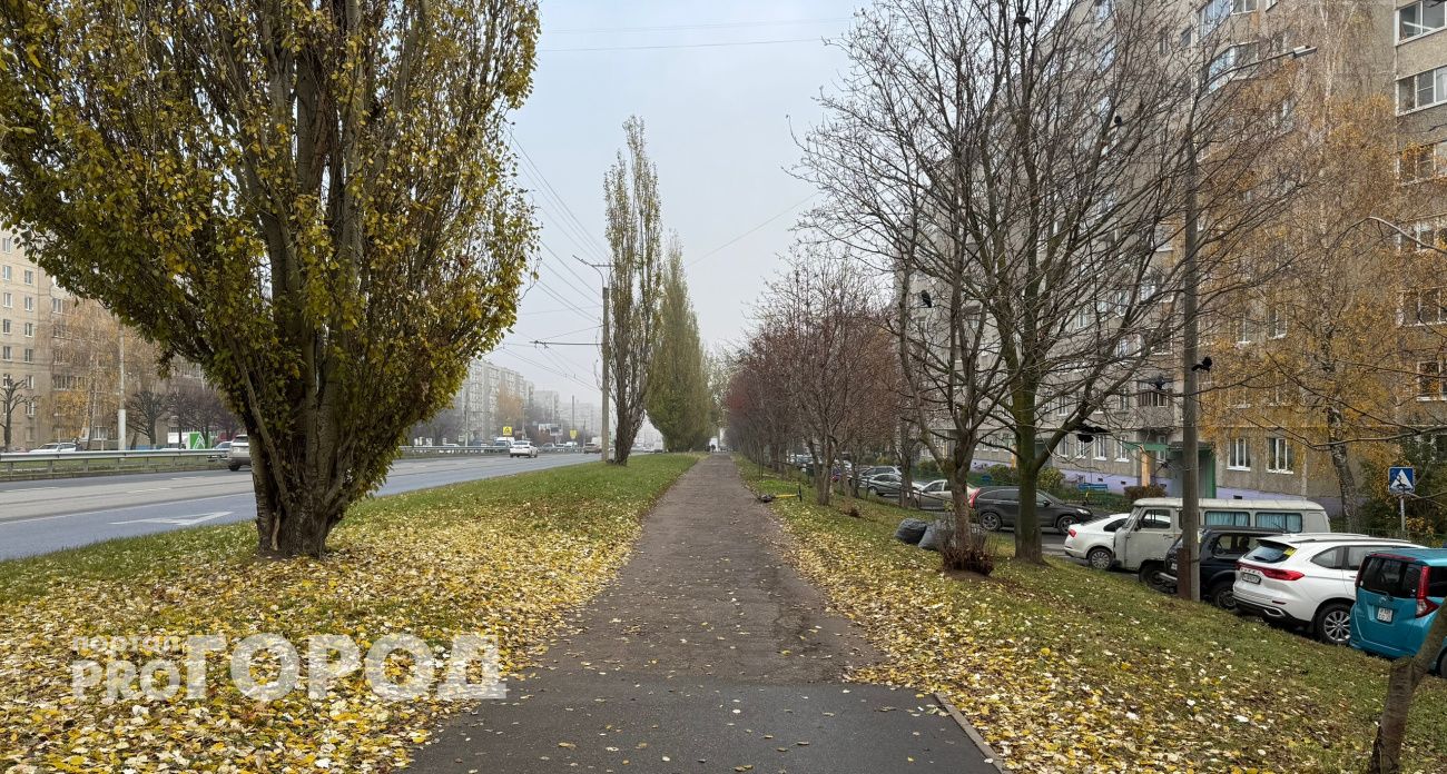 Чувашия встретит четверг прохладой и туманами