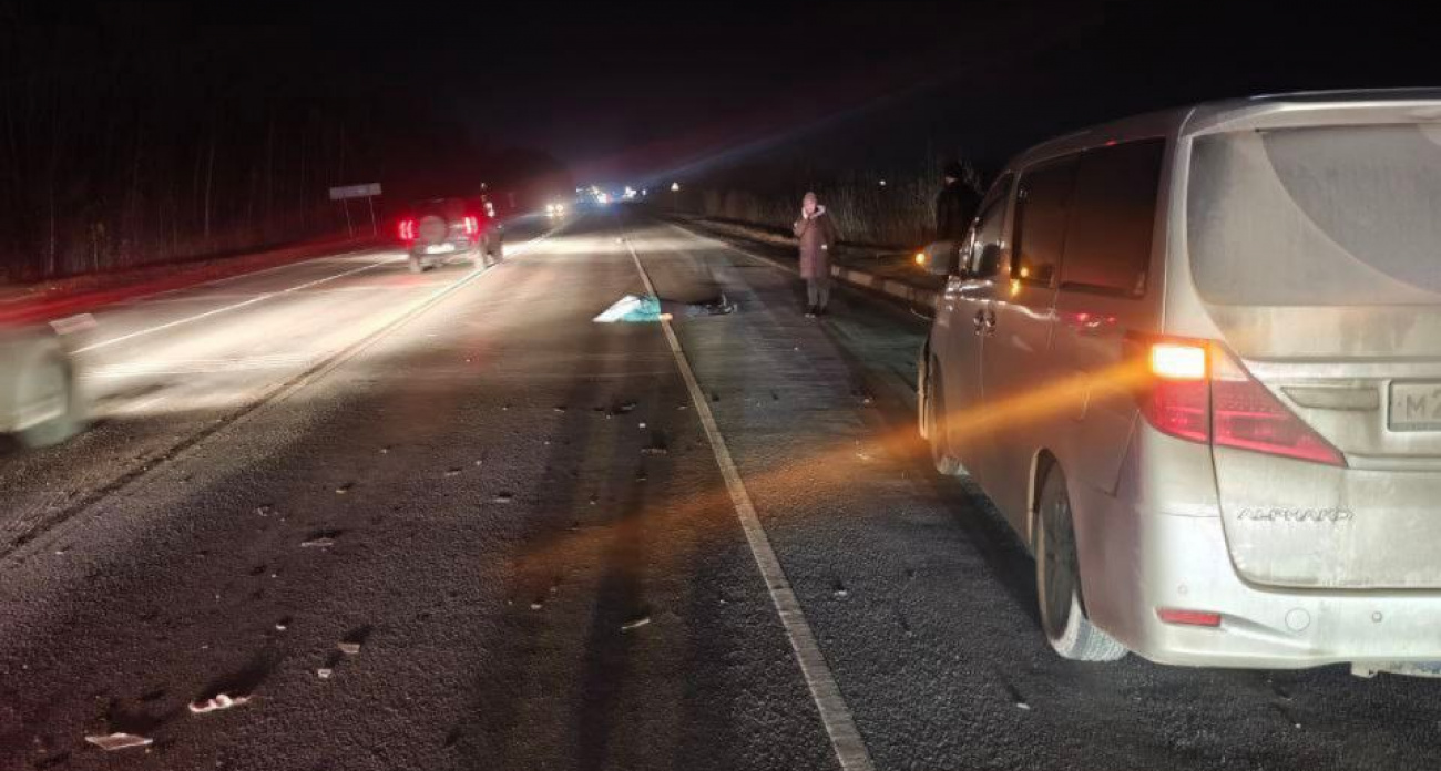 Пожилую женщину насмерть сбили на трассе Чебоксары – Сурское