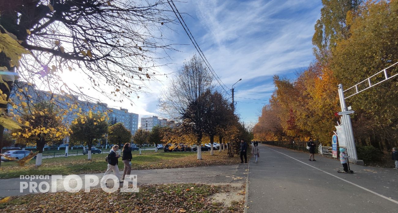 В Чувашии этой ночью температура опустится до -2 градусов