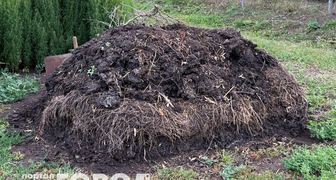 За зиму перегниют и толстые ветки, и ботва: всегда так ускоряю компост - на заметку каждому дачнику