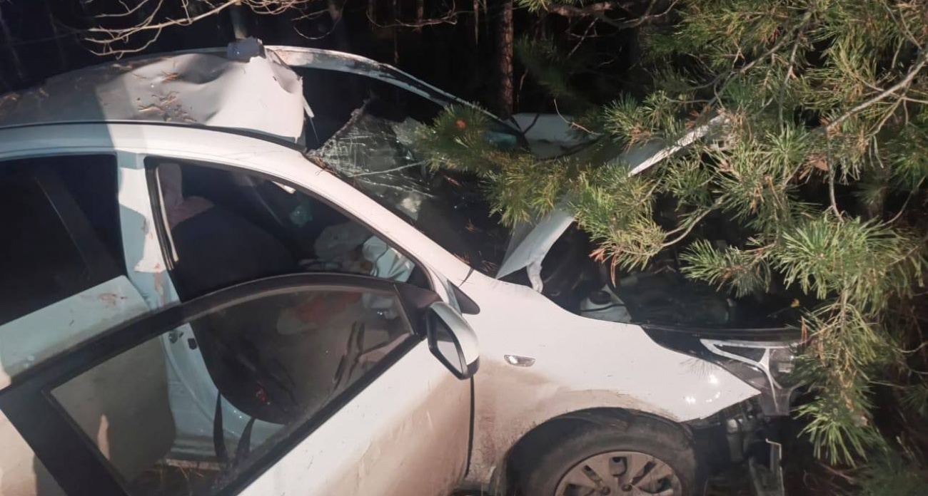 Лось выбежал на дорогу и спровоцировал ДТП в Шемуршинском районе