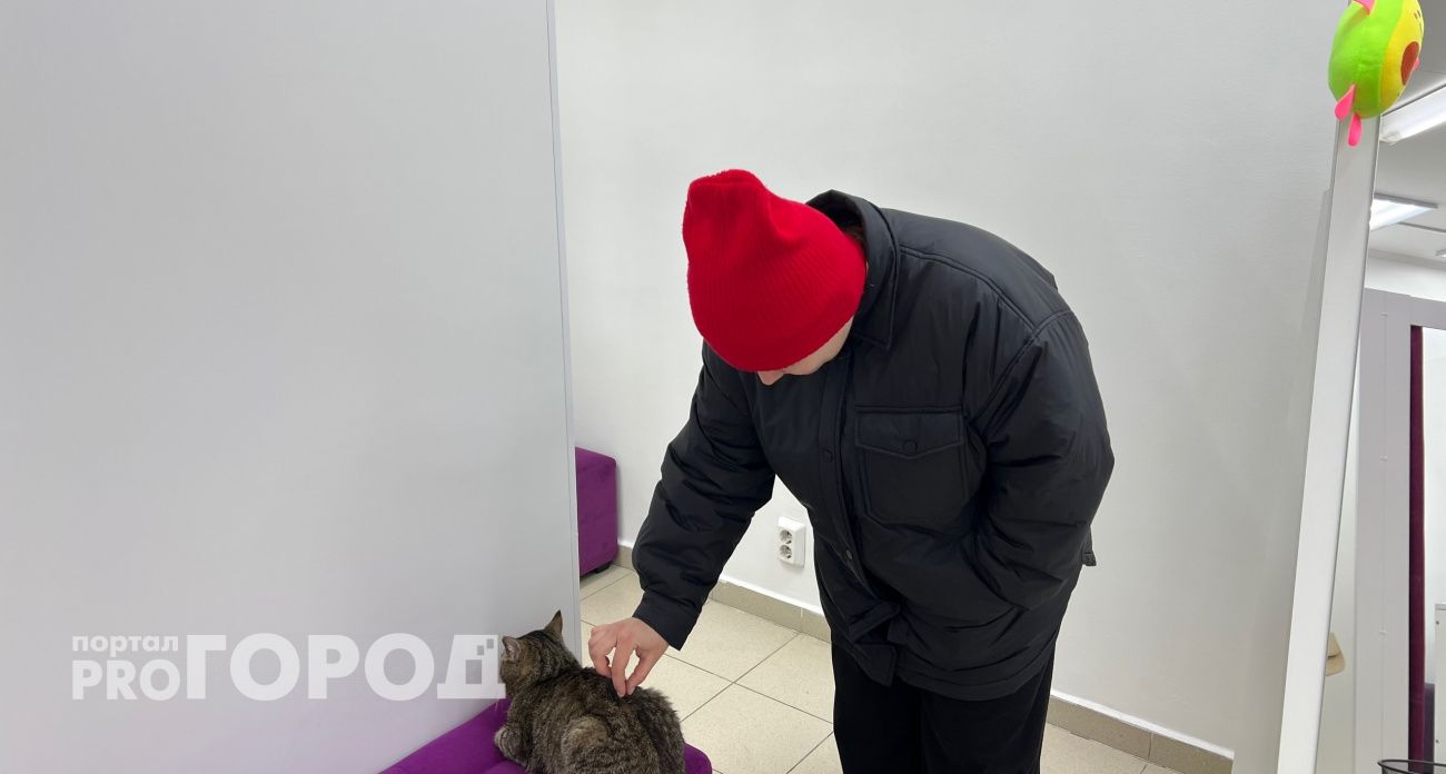 В Новочебоксарске планируют за полтора месяца с нуля построить ветеринарную клинику