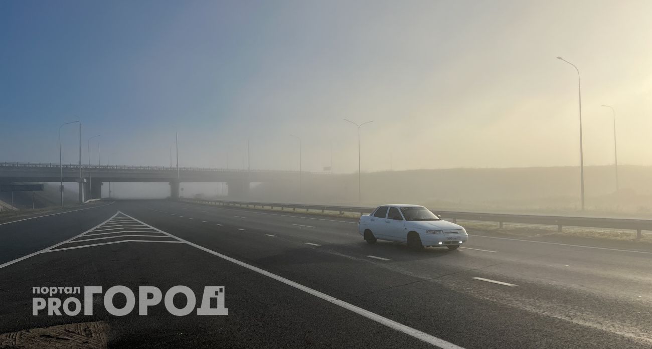 Водители смогут сами выбрать себе номер машины через "Госуслуги"