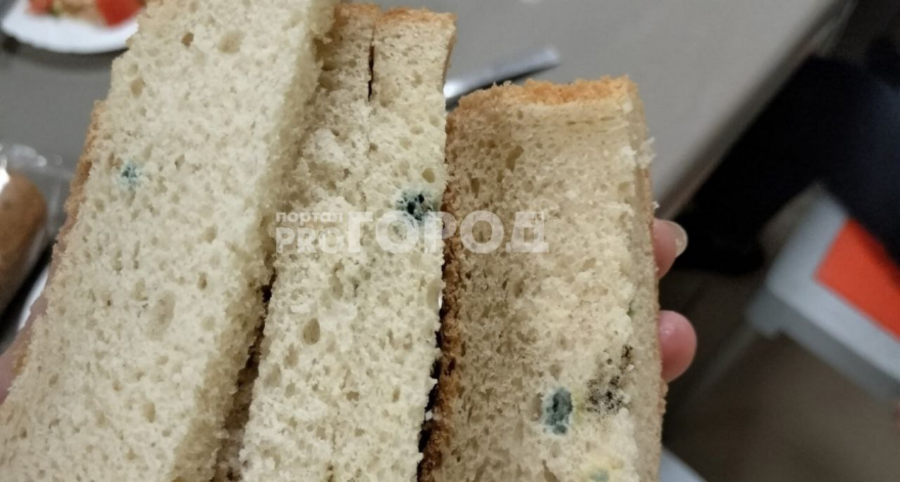 Хлеб с плесенью, который подали школьникам Чебоксар на завтрак, по словам мэрии, принес чей-то родитель