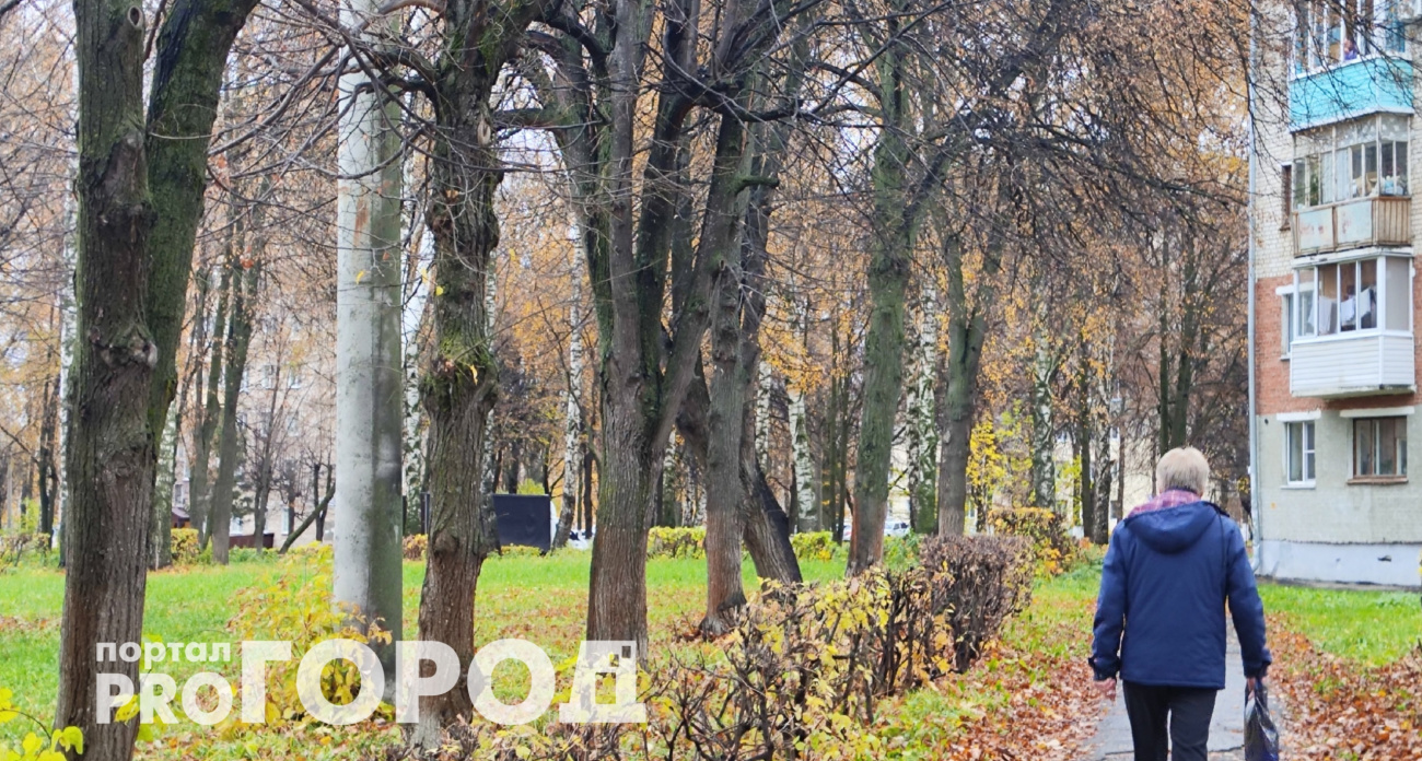 Оформите звание "Ветеран труда" – и можете жить на широкую ногу: условия просты