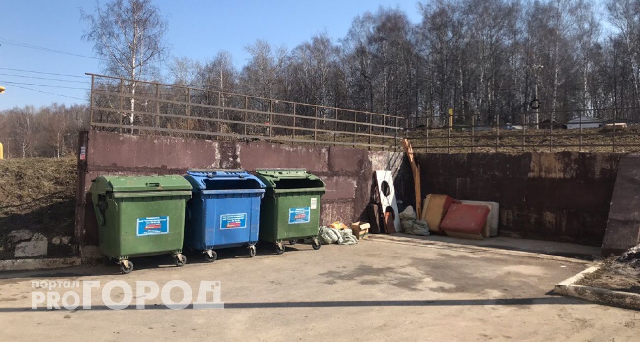 Жители Чувашии за выброшенные в контейнер ветки могут схлопотать штраф в четверть миллиона