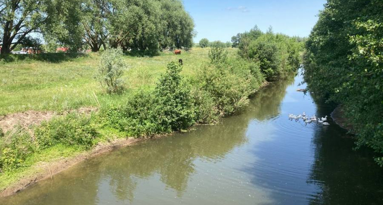 В Минприроды Чувашии признали чистой реку, которую жители называли одной из самых грязных в республике