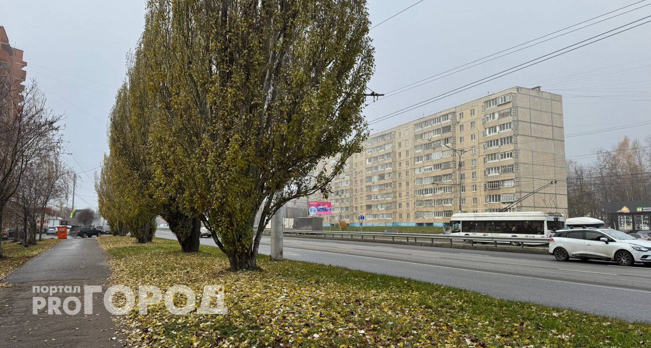 В Чувашии погода останется неустойчивой: друг друга сменяют волны тепла и холода